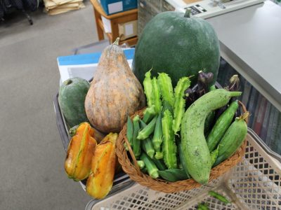 野菜の寄贈がありました