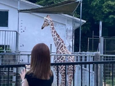 サタZOOナイト（沖縄こどもの国）に行ってきました
